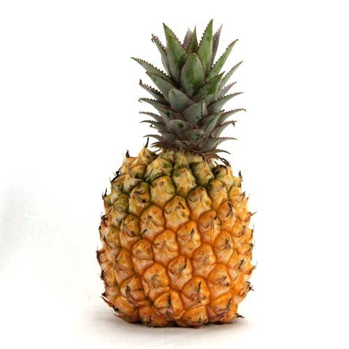 Ananas victoria de L'ile Maurice
