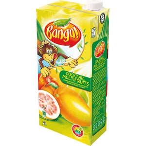 Boisson aux fruits Banga 2L