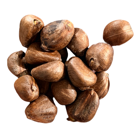 Châtaigne de Martinique 1kg