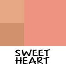 Palette 3D BLUSH CONTOUR 8g