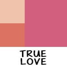 Palette 3D BLUSH CONTOUR 8g
