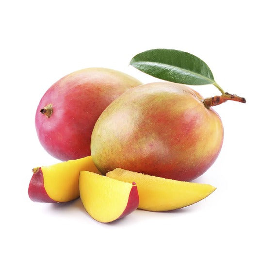 Mangue Kent lot de 2