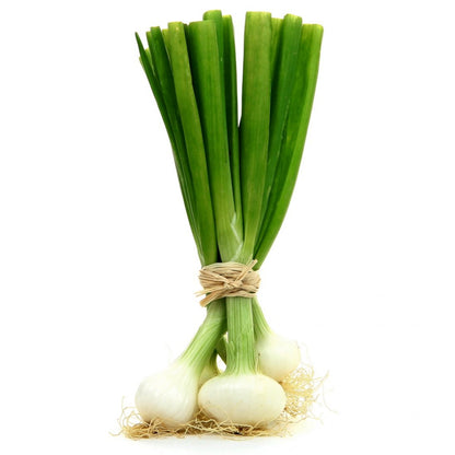 Botte d'oignon nouveau France