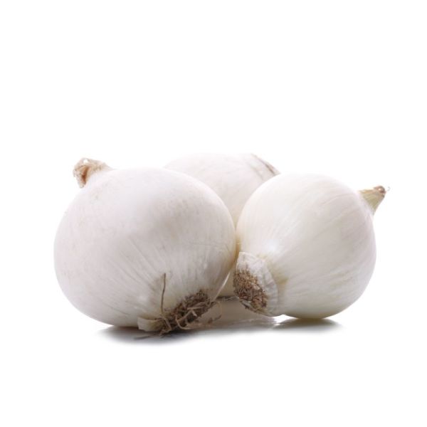 Oignon blanc