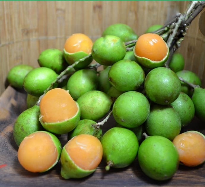 Quenettes Origine Antilles