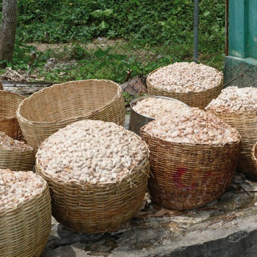 Chocolat Noir bio Ethiquable 72% Haïti