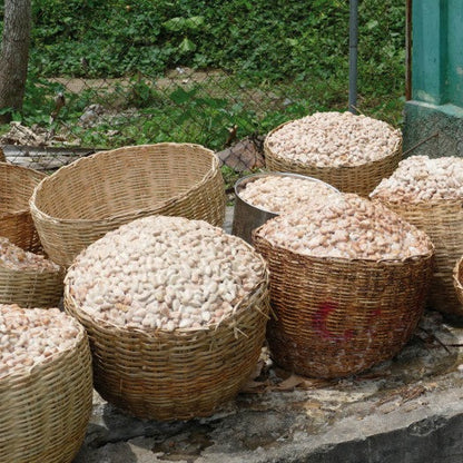 Chocolat Noir bio Ethiquable 72% Haïti