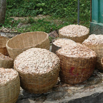 Chocolat Noir bio Ethiquable Sésame Caramélisé 65% Haïti