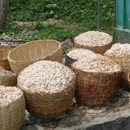 Chocolat Noir bio Ethiquable Caramel Pointe de sel 65% Haïti