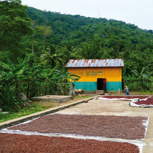 Chocolat Noir bio Ethiquable Sésame Caramélisé 65% Haïti