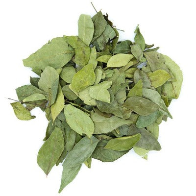 Feuilles de curry / caloupilé (Kaloupilé)