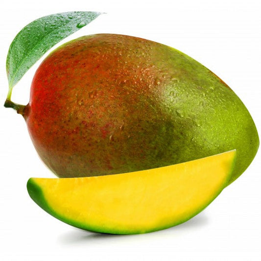 Mangue Kent lot de 2