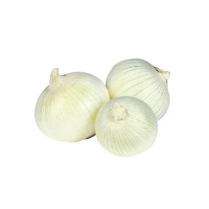 Oignon blanc