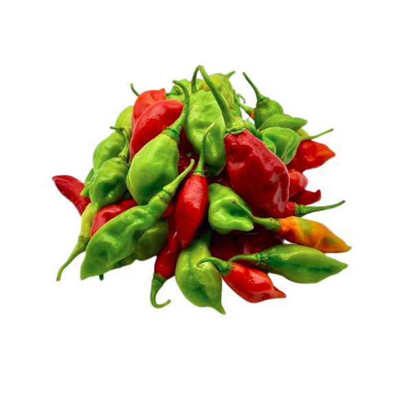 Piments doux végétarien frais