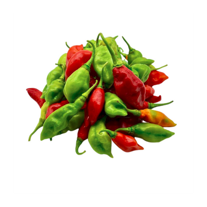 Piments doux végétarien frais